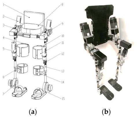 Research on the Influence of Exoskeletons on Human Characteristics by ...