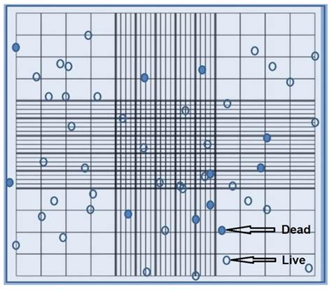 Experimental Validation of a Mathematical Model to Describe the Drug ...