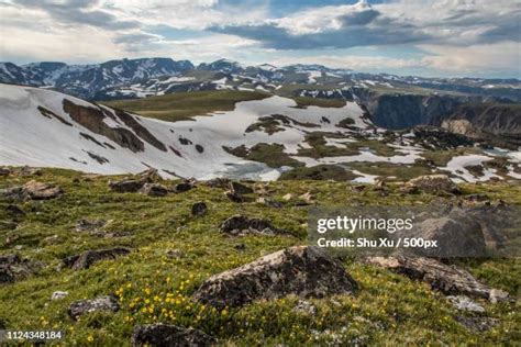 Image result for Driving Beartooth Pass