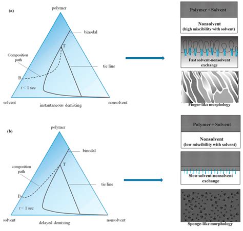 A Review on Porous Polymeric Membrane Preparation. Part I: Production ...