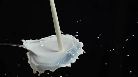 Calcium-Rich Foods: Top Choices For Strengthening Kids' Bones