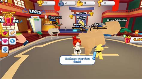 Image result for Sumo Code Image Spike Prime