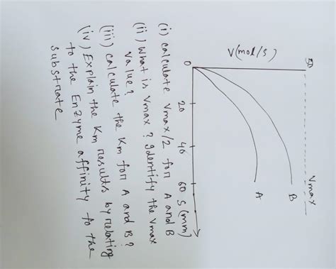 Solved (i) calculate Vmax/2 for A and B (ii) What is vmax ? | Chegg.com