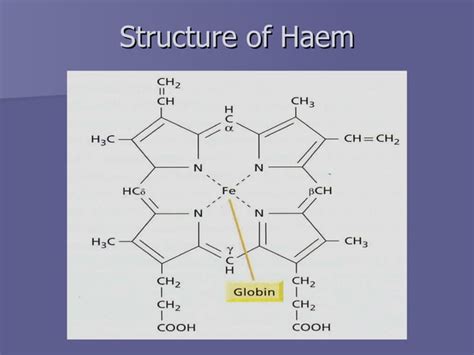 Image result for Haemoglobin Structure and Function
