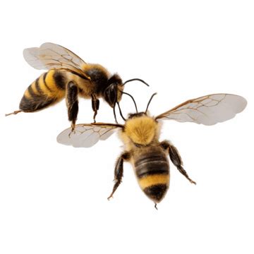 Image result for API Management Background Transparent