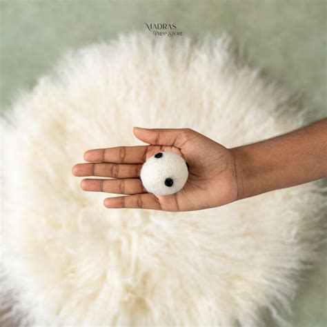 Sports Theme – Madras Prop Store