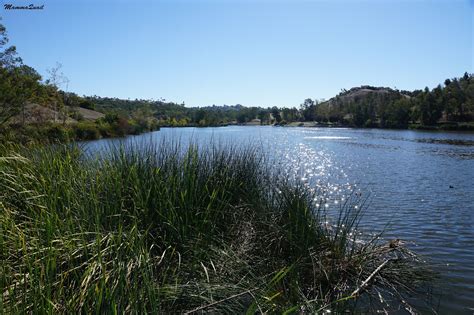 Mamma Quail Hiking California : Easy Recreation: Hiking Around Laguna ...