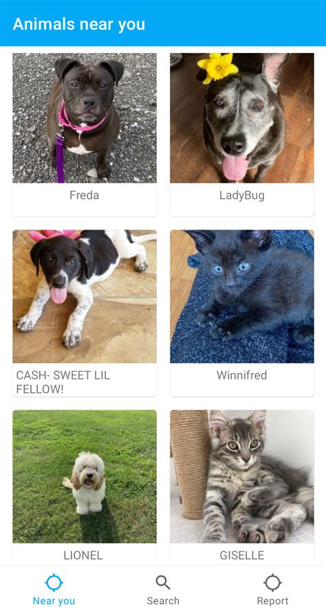 Image result for Android Tutorial Commercial Animals