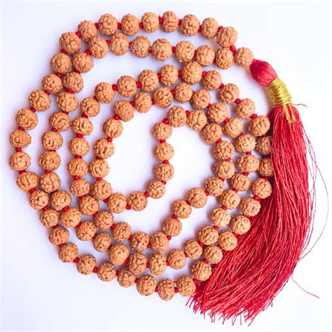 Apnisanskriti Lab Certified 5 Mukhi Chikni Pathri Rudraksha Mala for ...