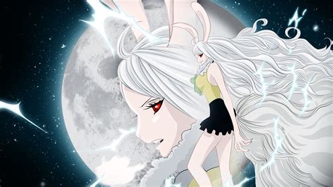 One Piece HD, Carrot (One Piece), HD Wallpaper | Rare Gallery