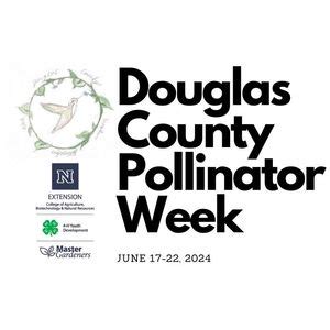 Pollinator Week Kick-Off Event: Butterfly Blueprints NOVA Movie ...