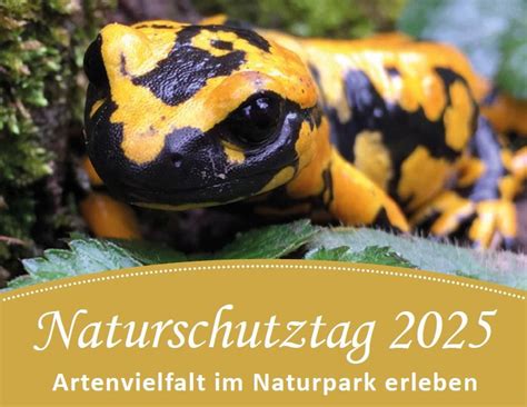 Naturschutztag 2025 - Artenvielfalt im Naturpark erleben, Naturpark ...