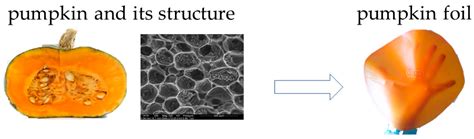 The Potential of Edible Films, Sheets, and Coatings Based on Fruits and ...