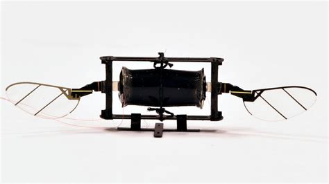 Micro Robots 的图像结果