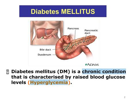 Endocrine pathology ( diabetes mellitus and thyroid gland ) | PPT