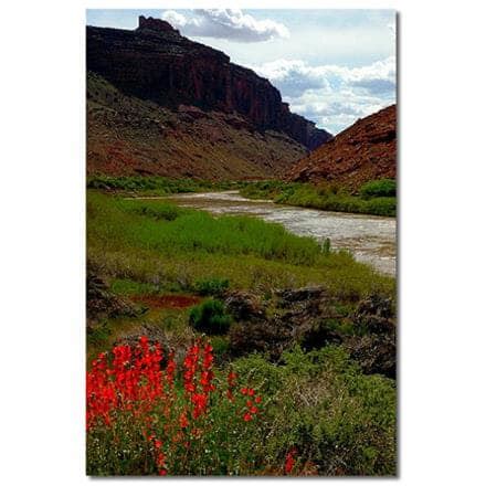 Environment Photography 的图像结果