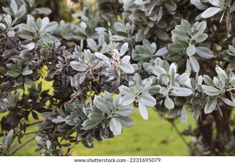 Image result for Computer Desktop Screen