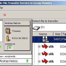 Image result for File Transfer GUI Windows