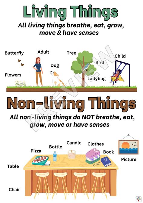 Living Vs. Non Living Anchor Chart, Living Things Anchor Chart, Life ...