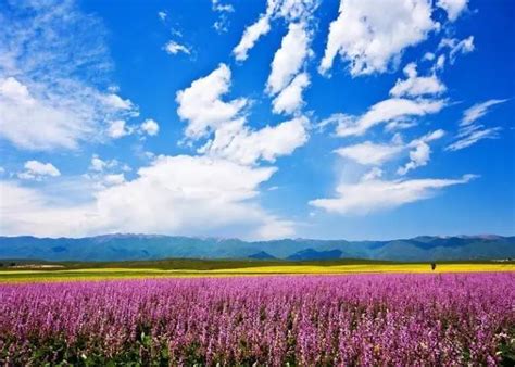 【新疆最美的高山草原---喀拉峻摄影图片】新疆 伊犁河谷风光摄影_太平洋电脑网摄影部落