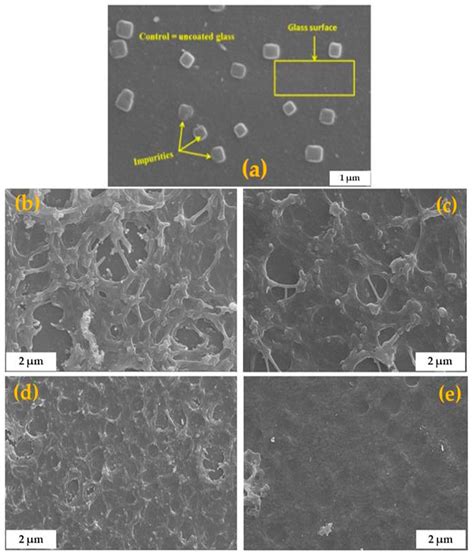 Spin Coating Immobilisation of C-N-TiO2 Co-Doped Nano Catalyst on Glass ...