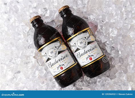 Two Bottles of Budweiser Copper Lager on Ice Editorial Photography ...