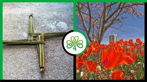 Image result for Irish Spring Ads