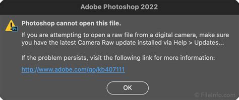 Image result for Raw File Format Digital Camera