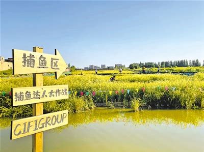 宁夏银川滨河新区旅游大道4月底将全线贯通！
