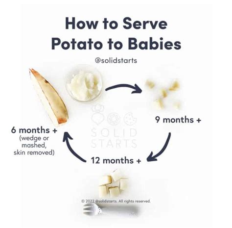 Can Babies Eat Potatoes? - Solid Starts