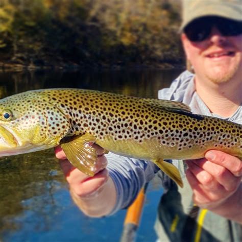 APPALACHIAN FISHING GUIDES LLC (2026) All You Need to Know BEFORE You ...