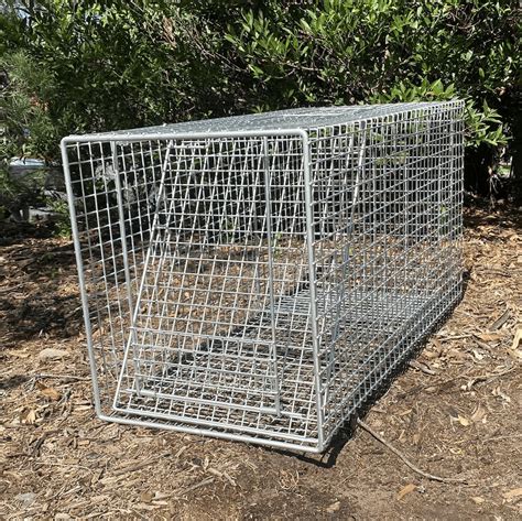 Free Cat Traps 的图像结果