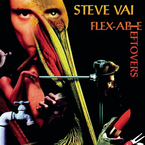 Flex-Able Leftovers: Steve Vai: Amazon.in: Music}