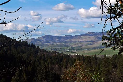 coraline « Ashland Daily Photo