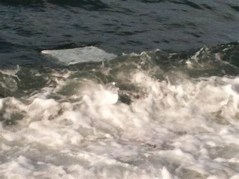 Floating 的图像结果