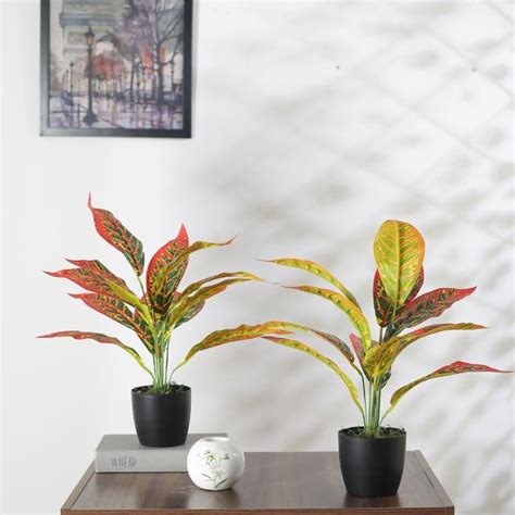 Artificial Red Croton Plant Mini With Black Pot | Set Of 2 | 1.6 feet ...