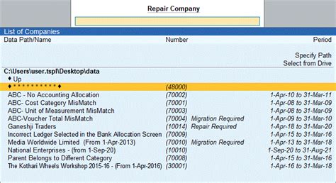 Repair Company Data