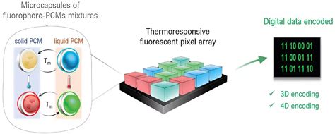 DNA digital data storage Data Encoding 的图像结果