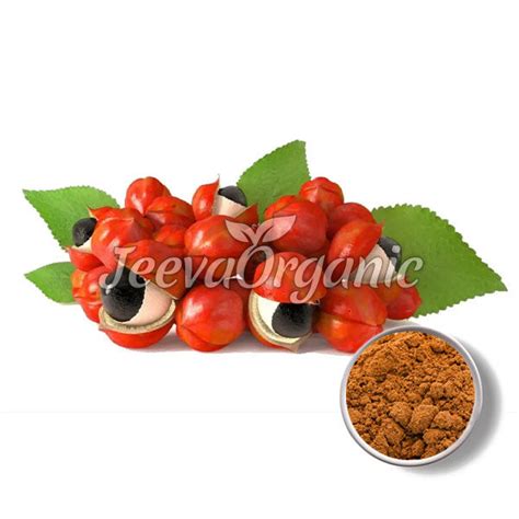 Wholesale Guarana Extract 22% Caffeine - Global Supply