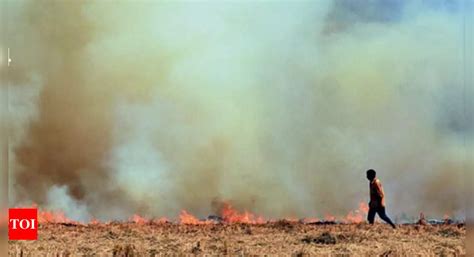 Pollution Board's Eye in the Sky to Track District Farm Fires Poisoning ...