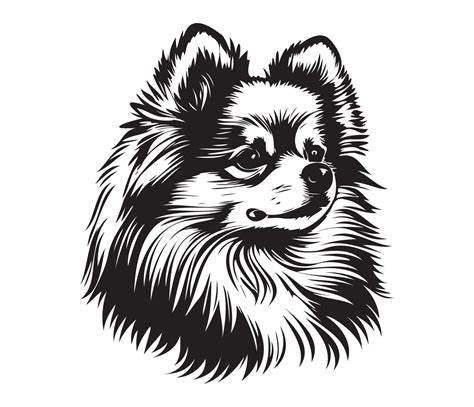 Pomeranian Face, Silhouette Dog Face, black and white Pomeranian vector ...