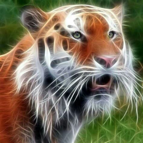 Image result for RJ Tutorial