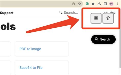 Display Input 的图像结果