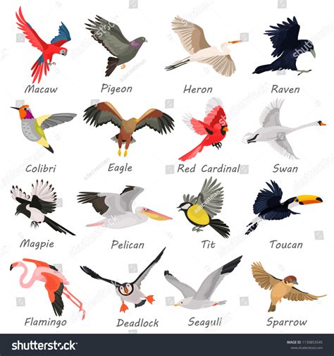 Flying Birds High Quality Icons Set Stock Vector (Royalty Free ...