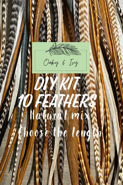 Feather Hair Extensions DIY Kit -10 Feathers + Beads + Tool/natural Mix ...