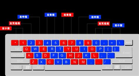 键盘打字指法规范（附指法图解）-Type.fun打字平台
