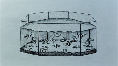 How to draw fish aquarium//easy fish tank drawing with pencil//fish ...