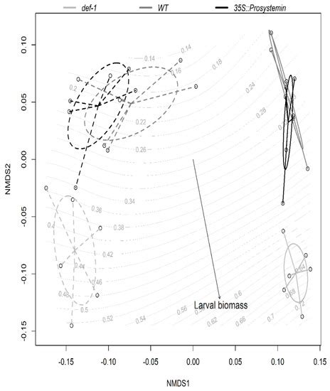 Mycorrhizal Fungi Enhance Resistance to Herbivores in Tomato Plants ...