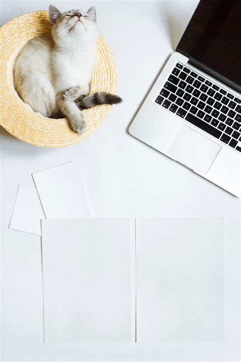 Image result for Cute Backgrounds for Computer