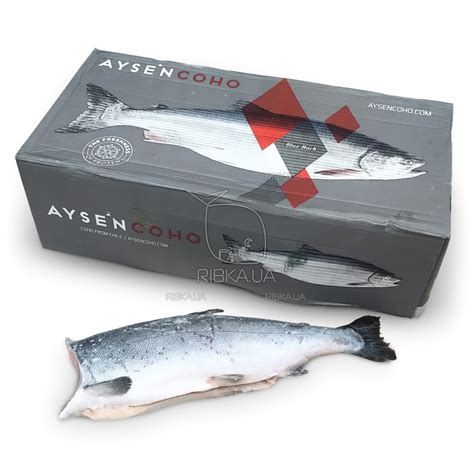 Кижуч б/г с/м 2,7-4,1 AysenCoho (Чили) купить по выгодным ценам в Киеве ...